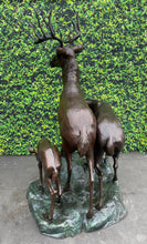 Load image into Gallery viewer, Elk Family Heroic