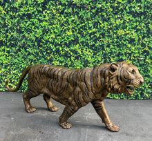 Load image into Gallery viewer, Tiger Jumbo