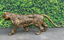Load image into Gallery viewer, Tiger Jumbo