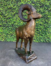 Load image into Gallery viewer, Long Horn Steer Monumental