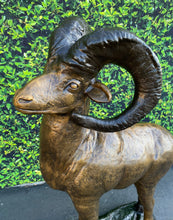 Load image into Gallery viewer, Long Horn Steer Monumental