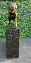Load image into Gallery viewer, Tiger with Rock Base Monumental