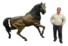 Load image into Gallery viewer, Heroic Stallion