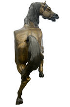 Load image into Gallery viewer, Heroic Stallion