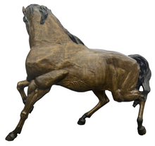 Load image into Gallery viewer, Heroic Stallion