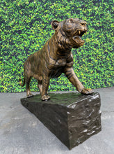 Load image into Gallery viewer, Tiger Climbing Up Rock Base Monumental