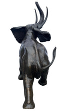 Load image into Gallery viewer, Elephant Monumental