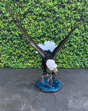 Load image into Gallery viewer, Nardini Eagle Monumental