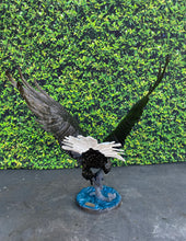 Load image into Gallery viewer, Nardini Eagle Monumental
