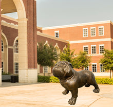 Load image into Gallery viewer, Bulldog by Max Turner