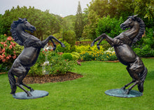 Load image into Gallery viewer, Heroic Rearing Stallions (Right & Left )