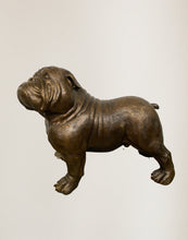 Load image into Gallery viewer, Bulldog by Max Turner
