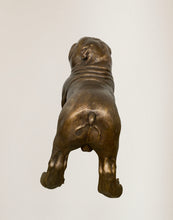Load image into Gallery viewer, Bulldog by Max Turner