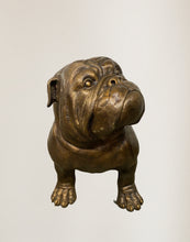 Load image into Gallery viewer, Bulldog by Max Turner