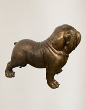 Load image into Gallery viewer, Bulldog by Max Turner