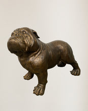 Load image into Gallery viewer, Bulldog by Max Turner